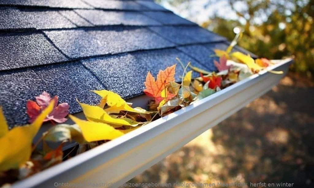 Seizoensgebonden rioolproblemen Maastricht: herfst en winter
